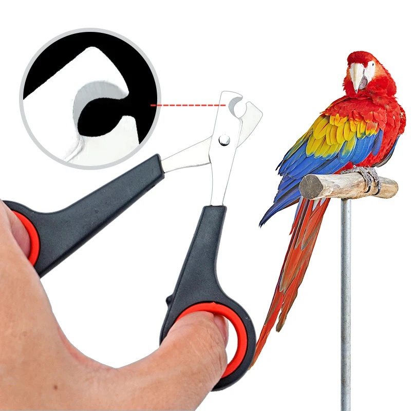12cm Pet Parrot Nail Scissor D - Grooming Scissors ulasan dan harga