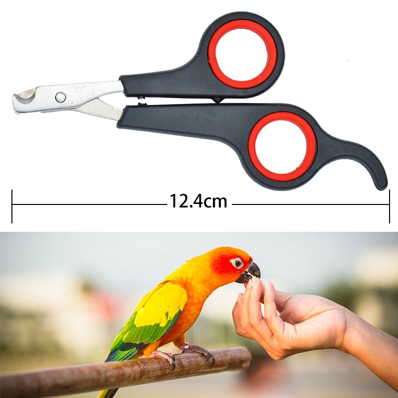 12cm Pet Parrot Nail Scissor D - Grooming Scissors ulasan dan harga